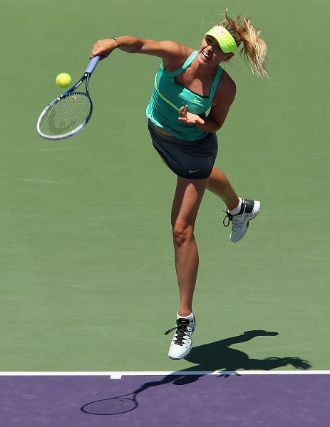 关于莎拉波娃在塞尔维亚队比赛中败北，出色防守引发热议！的信息